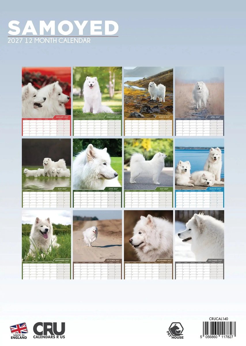 Samojeed A3 Kalender 2027