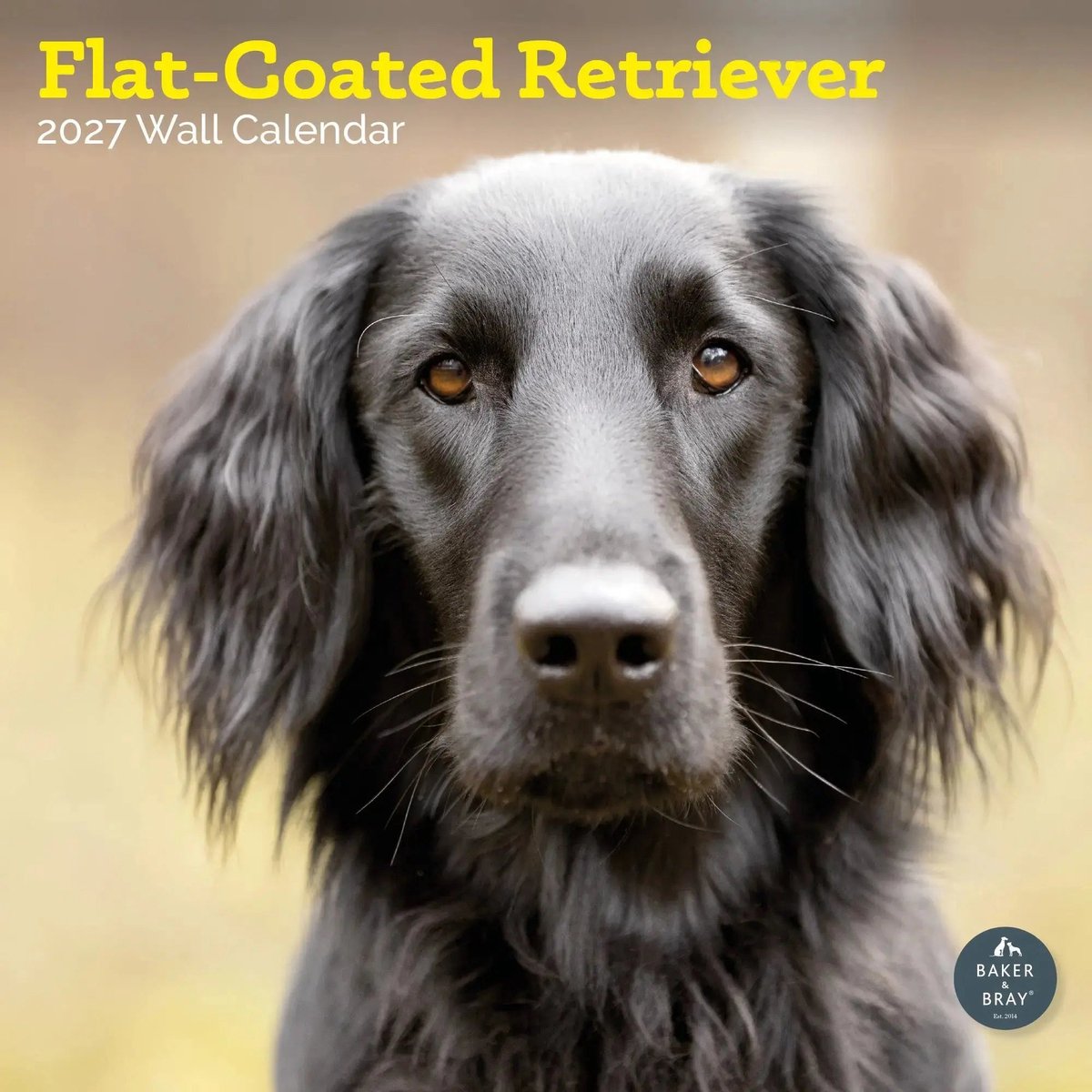 Flatcoated Retriever Kalender 2027