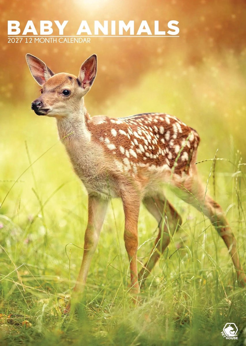 Baby Dieren A3 Kalender 2027