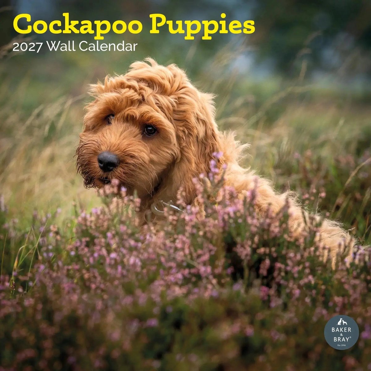 Cockapoo Puppies Kalender 2027
