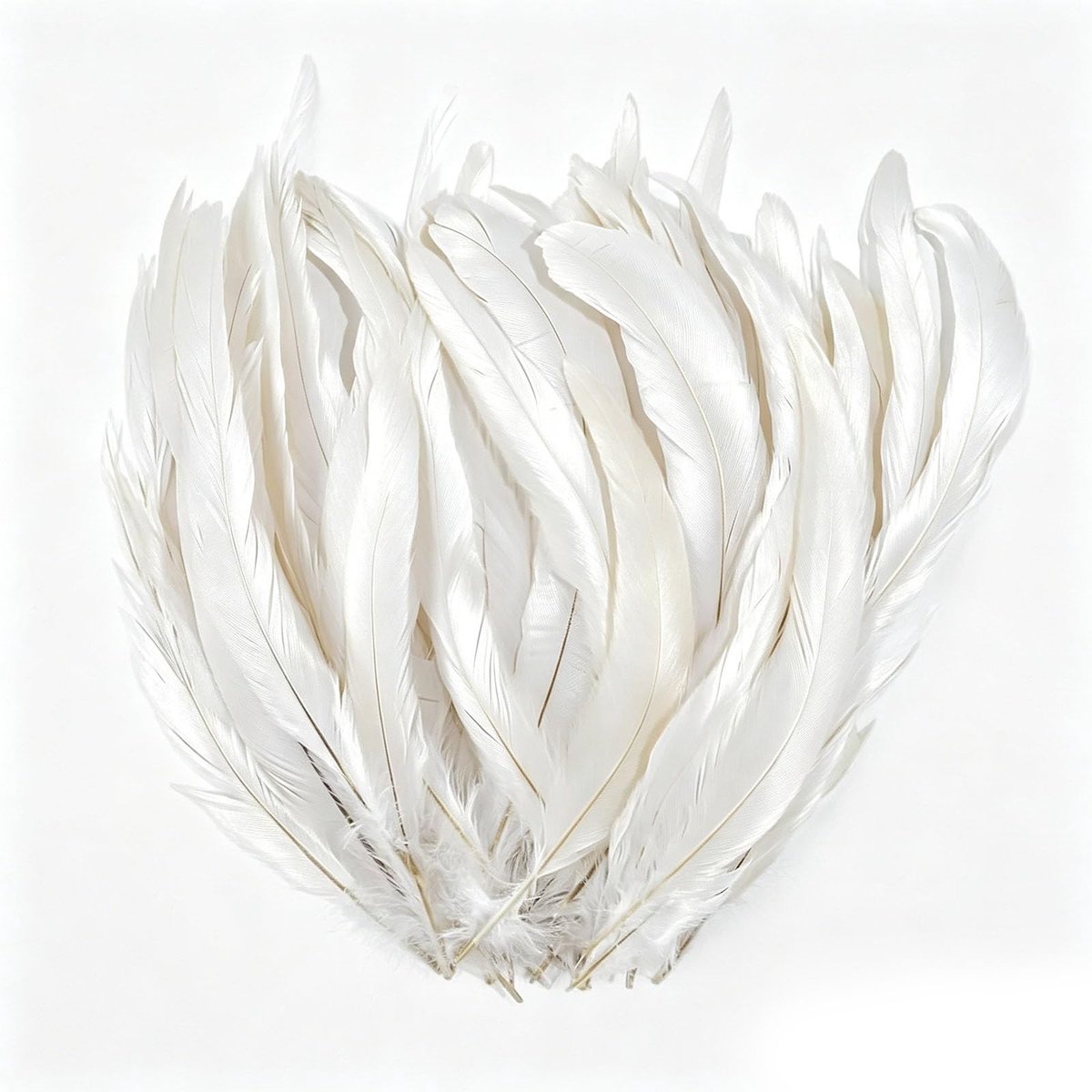 Elzusha - Set van Natuurlijke Pheasantveren voor Creatieve Projecten