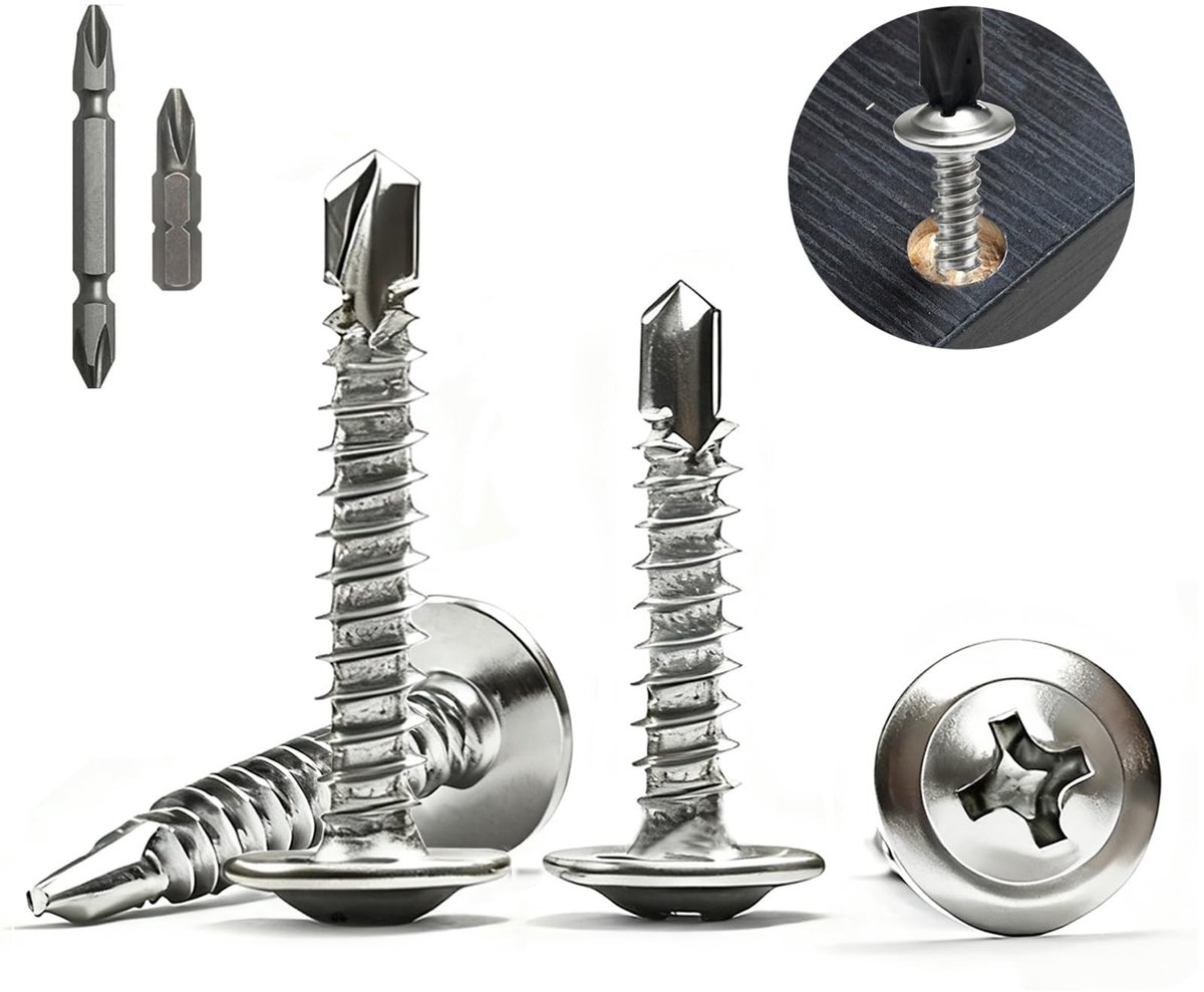 Elzusha - Set van 100 RVS Zelftappende Schroeven 4.8 x 16 mm