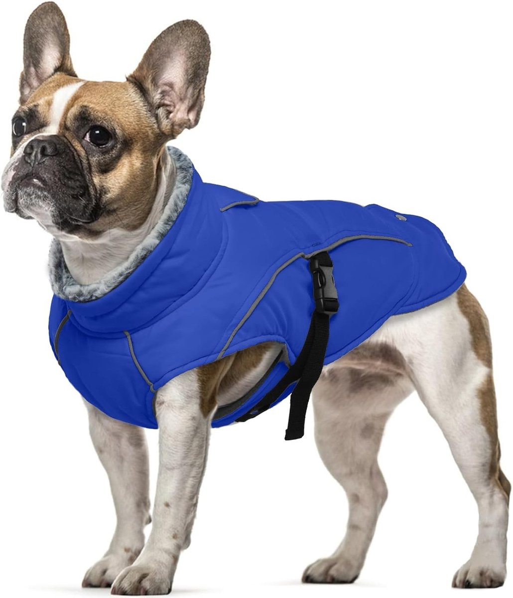 Warm hondenjas voor kleine puppy's - Waterdichte winterkleding met reflecterende details en fleece kraag, ideaal voor Chihuahua's en andere kleine rassen, maat S