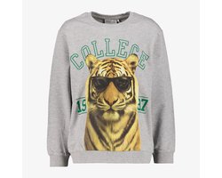 Name It jongens sweater met tijger opdruk - Grijs - Maat 134/140