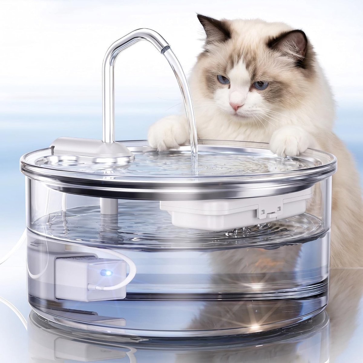 Waterfontein voor kat - Transparant - 3,2 Liter - Glas en Roestvrij Staal - Voor Katten en Kleine Honden