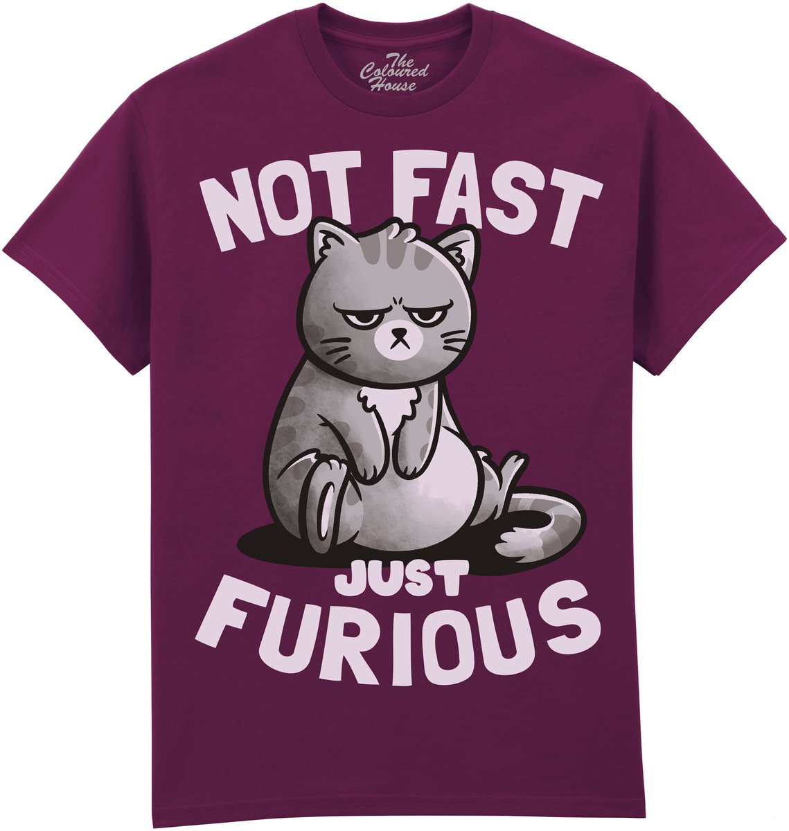 Kat Not Fast Just Furious The Coloured House T-shirt L