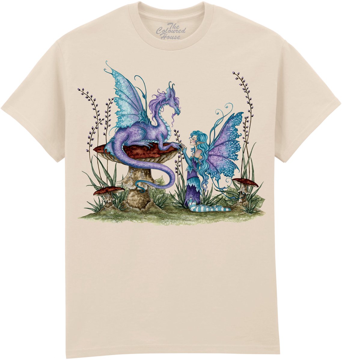 Companions The Coloured House T-shirt 3XL