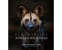 Remembering African Wild Dogs