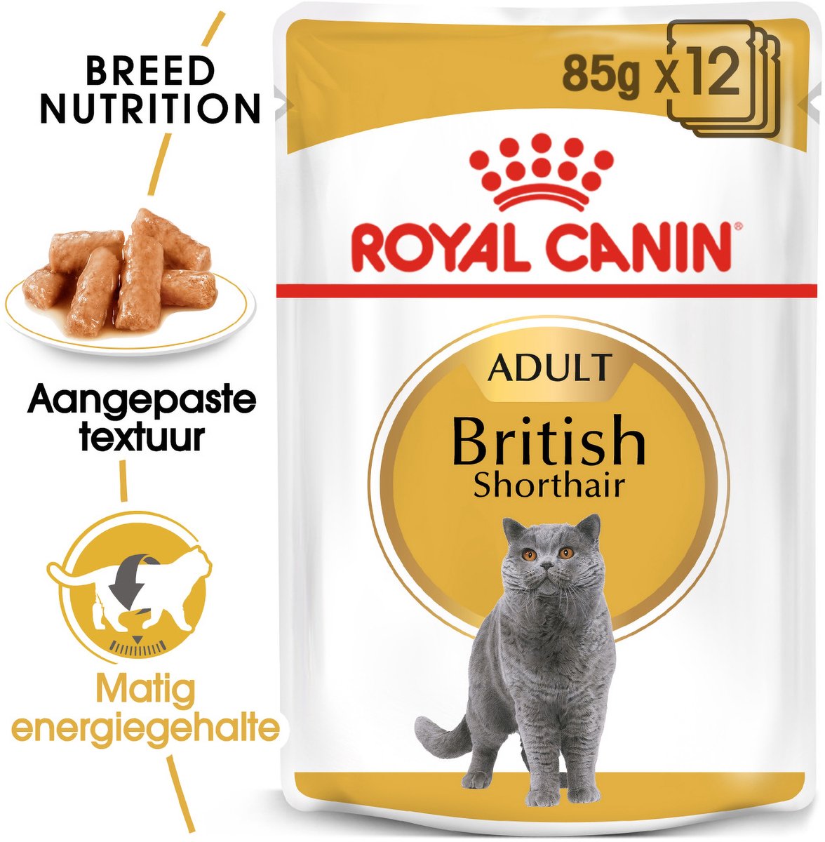 48x85g British Shorthair Royal Canin Breed Kattenvoer