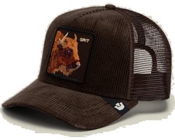 Goorin Bros. Corduroy Grit Trucker cap - Ground