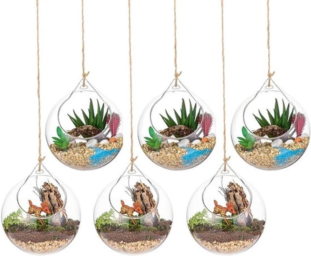 Glazen Hangende Bolletjes Terrarium voor Succulenten - 6 Stuks - Grote Opening - Ideaal voor Huisdecoratie, Bruiloften en Tuin Doe-het-zelf-projecten