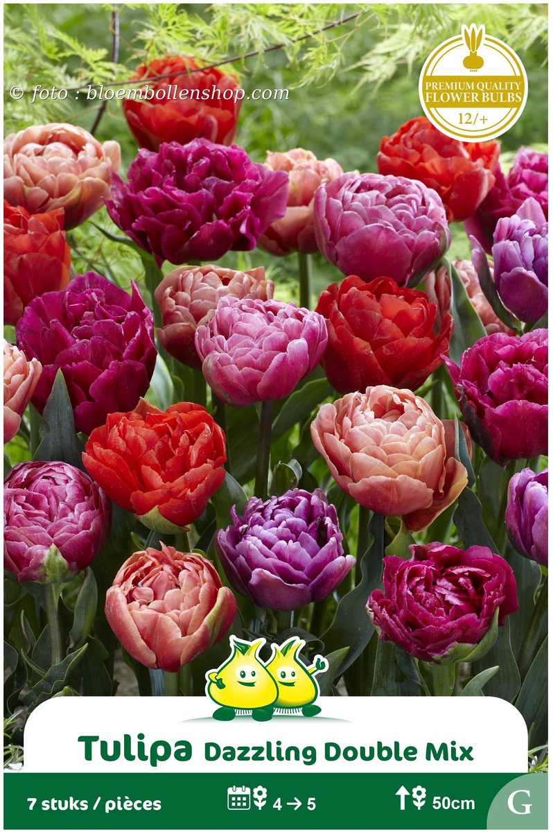 2 Zakjes Dubbele Tulpen Dazzling Mix maat 12/+