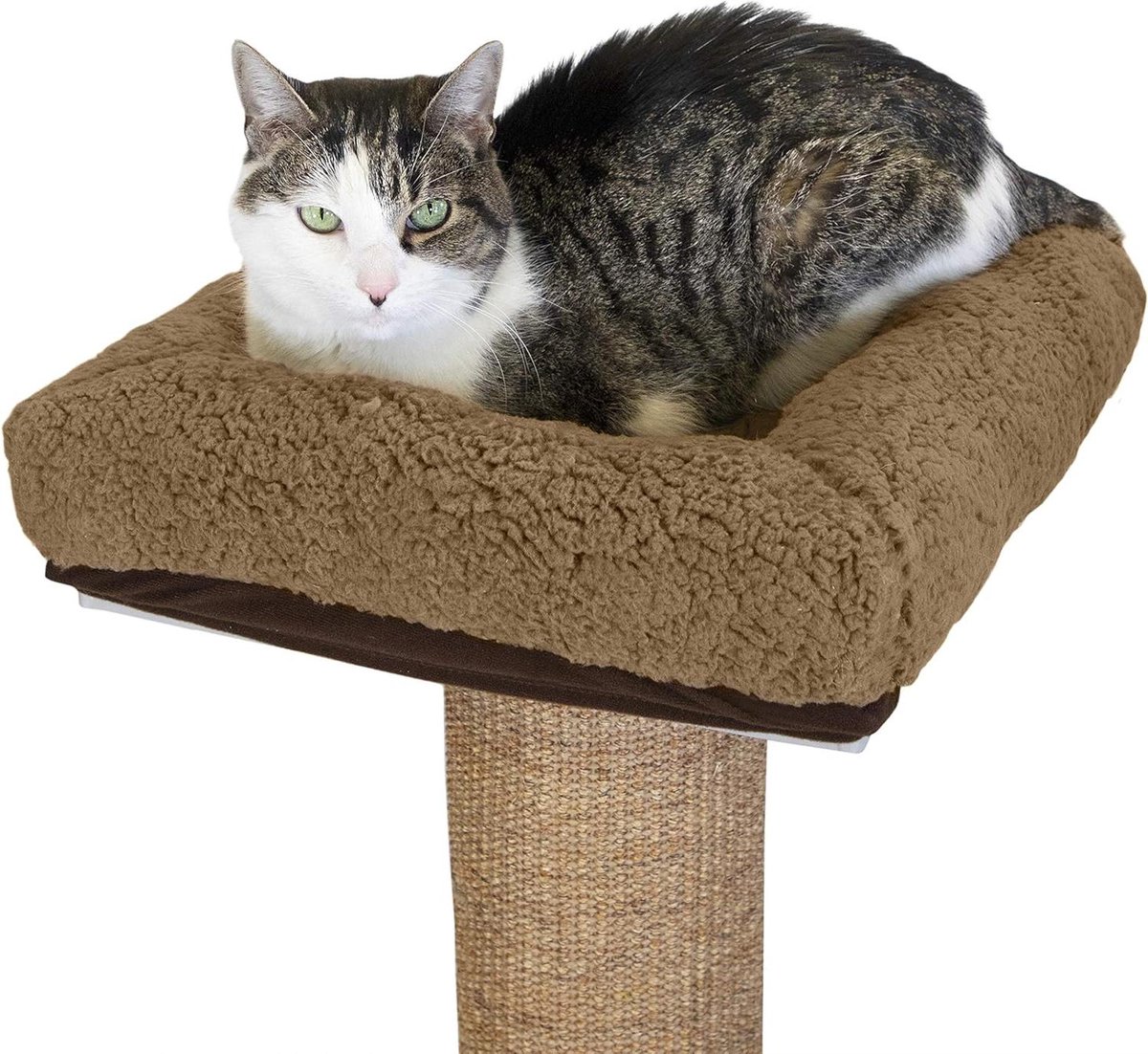 Kattenmand Platform - Kussen voor Krabpaal - Rusten en Slapen - Machinewasbaar - 38x38x10 cm - Grijs
