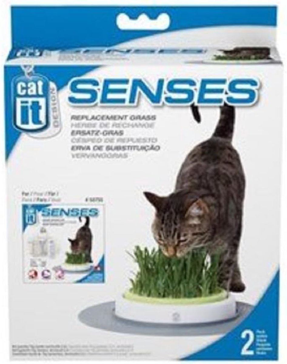 SnelShoppen - Cat Gras-Kit Navulling voor Kamercat - Gezondheidsbevorderend Gras met Acupressuurkussen - Ideaal voor Binnen - Veilig en Groen - 1 Set