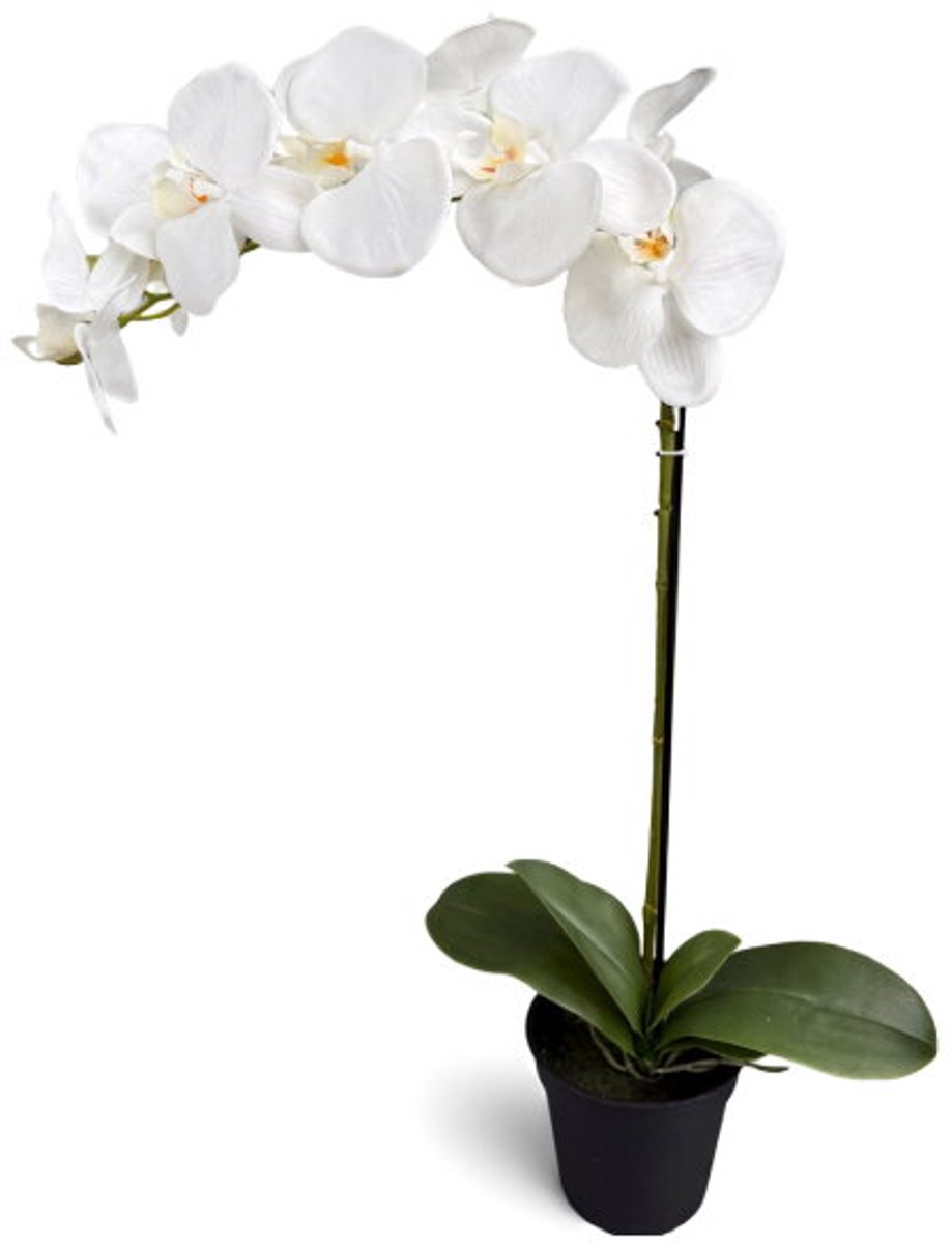 Orchidee wit in pot H 64 cm kunstplant Oosterik Home