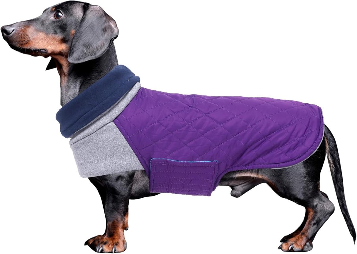 Warm en Waterdicht Winterjacket voor Teckels, Hoge Hals, Winddicht, Met Touwgaatjes, Paars, Maat L