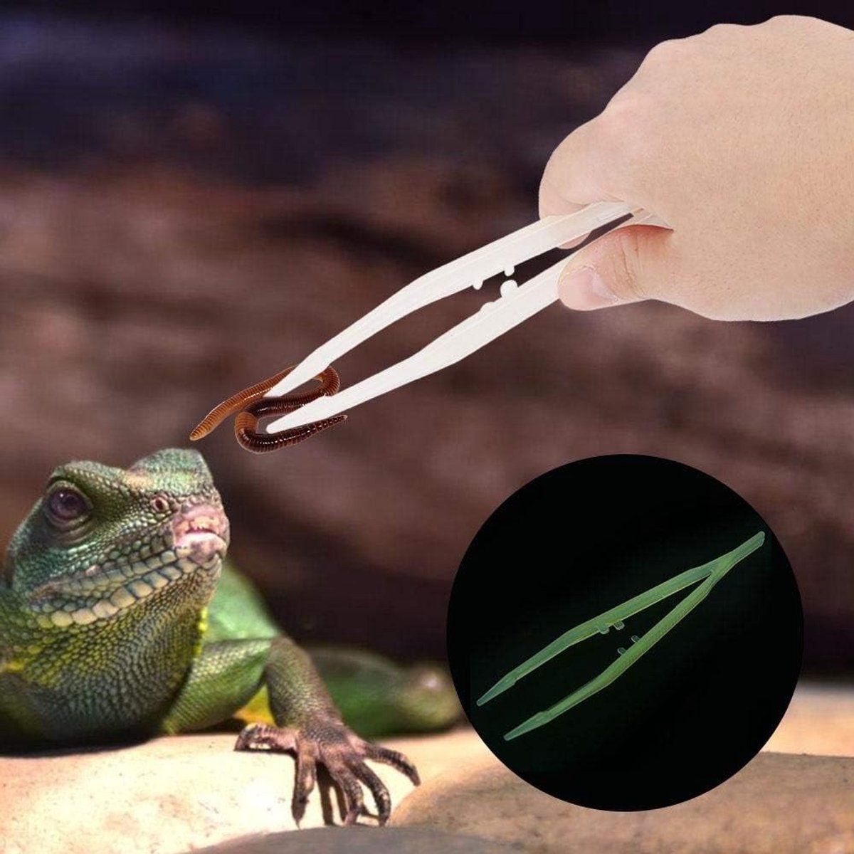 Rechthoekige Voedingspincet voor Reptielen, 18CM, Antislip, Ideaal voor Schildpadden en Hagedissen in Terrarium