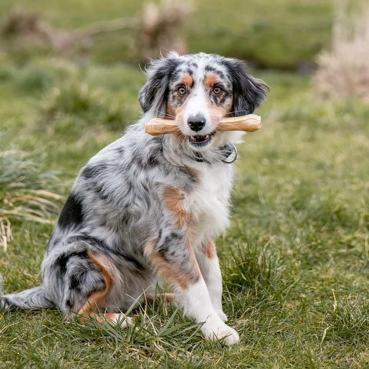 Thijox - Nobby Dog Chews Geperste Botten Set 5-pack 40g - 100% Natuurlijk Runderhuid Kauwsnacks voor Honden - Versterkt Tandvlees en Tandhygiëne - Gez