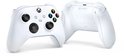 Twee witte Xbox controllers, één van voren en één van achteren. De controller van voren heeft een zwart kruisje, analoge sticks en gekleurde knoppen (A, B, X, Y).