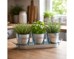 Kinzo Bloempot Set met 3 Metalen Bloempotten - Zinken Bloempot met Plantenpot met Tray - Kruidenpotjes Voor Bloempot Binnen - Ca. 34 X 10,5 cm