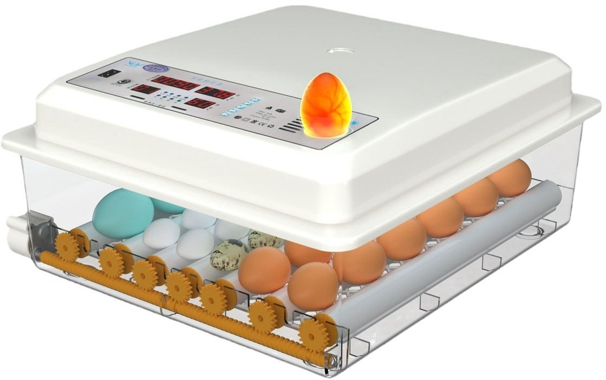 Volledig Automatische Broedmachine – 24-30 Eieren Incubator met Temperatuurregeling & Automatisch Keren – 220V EU-stekker & DC12V – Voor Thuisgebruik – Donkergroen