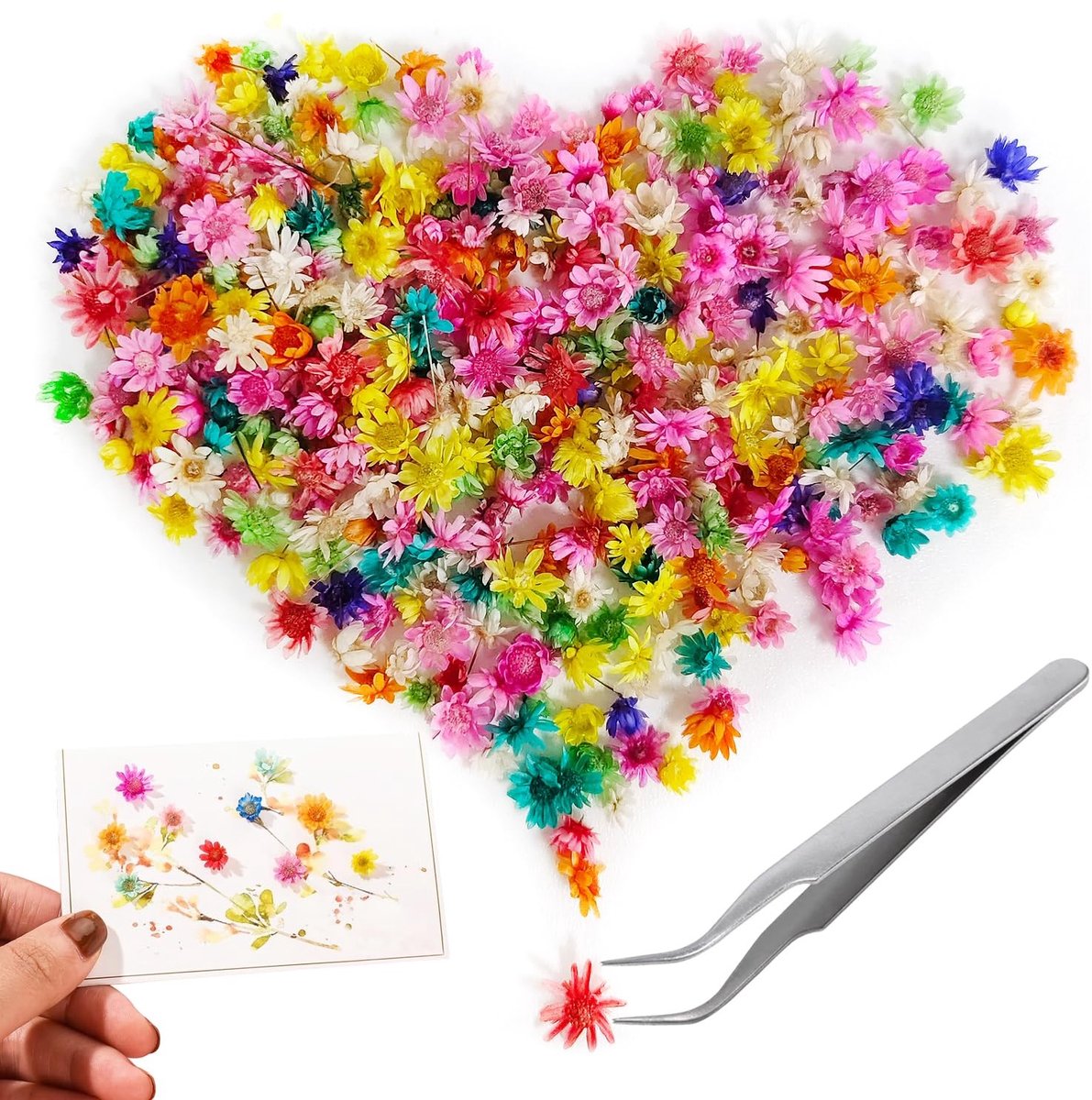 Inovra - 561 stuks decoratieve gedroogde bloemen voor hars, gedroogde bloemen voor kaarsen voor geurkaarsen, voor doe-het-zelf zeep maken, nail art, telefoonhoes, sieraden, oorbellen