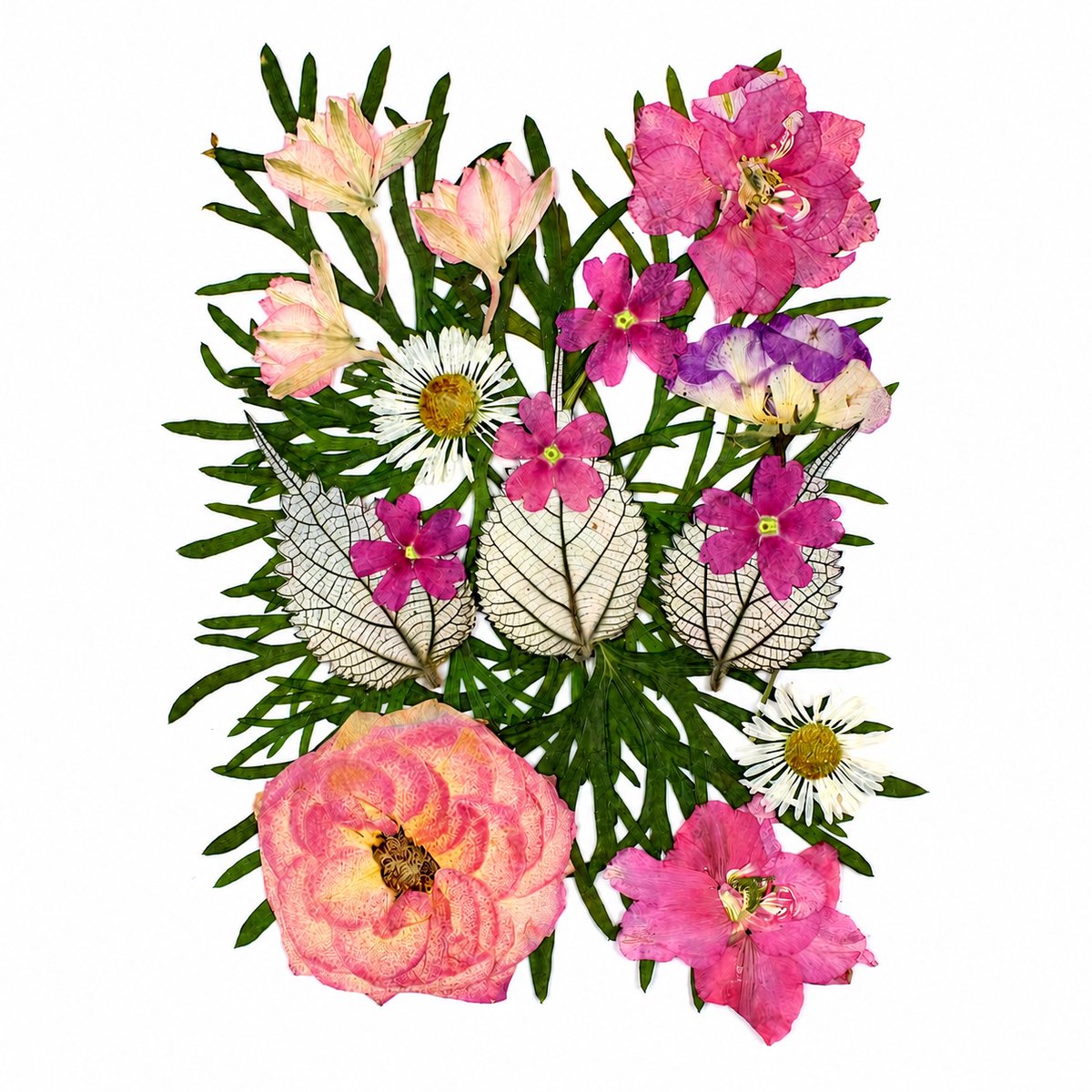 BOTC Natuurlijk Gedroogde Bloemen - Droogbloemen - Gedroogde Bloemen voor Resin DIY - 20 Stuks Natuurlijke Gedroogde Decoraties - Roze
