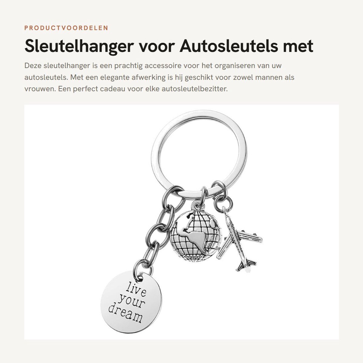 Dailygoods- Sleutelhanger Vliegtuig - Sleutelhanger Piloot - Sleutelhanger Stewardess - Sleutelhanger Cadeau - Sleutelhanger Organiseren - Hoogwaardig Zinklegering - Sleutelring