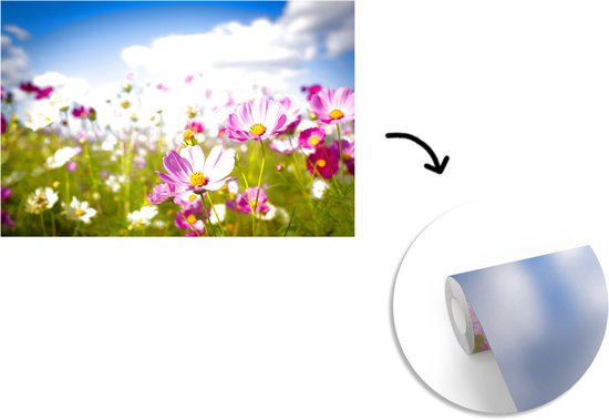 Papier peint - Papiers Papier peint photo - Fleurs en pleine floraison - Largeur 420 cm x hauteur 280 cm