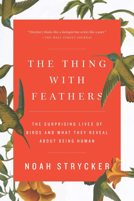 Thing With Feathers
