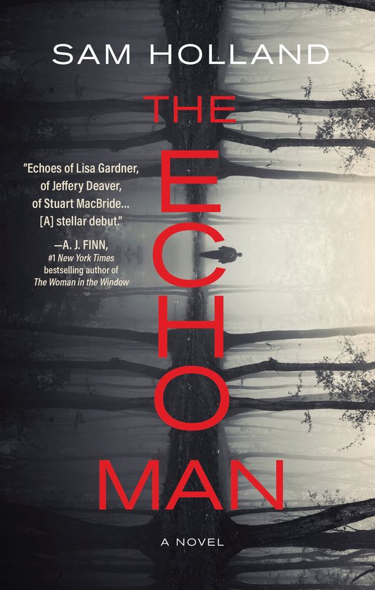 The Echo Man - cover