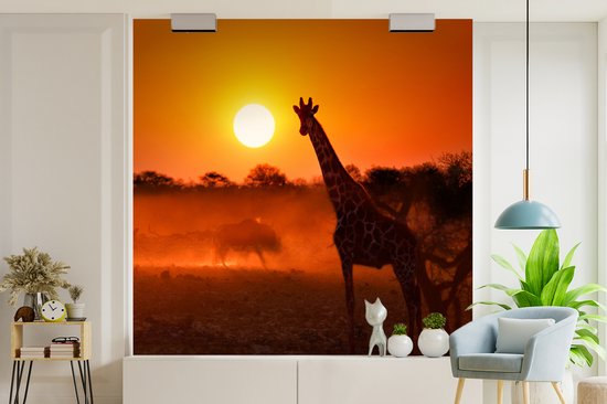 Behang - Fotobehang Giraffe - Zon - Savanne - Breedte 350 cm x hoogte 350 cm
