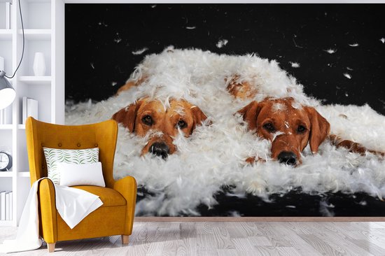 Papier peint photo peint photo vinyle - Labradors cachés entre les plumes largeur 390 cm x hauteur 260 cm - Tirage photo sur papier peint (disponible en 7 tailles)