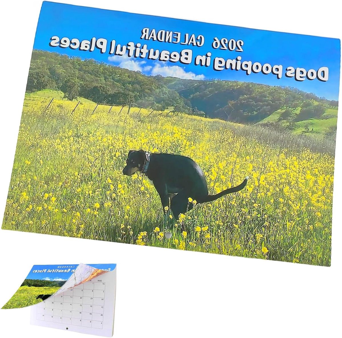 Honden Kalender 2025 - Grappige Wandkalender - Jaar Overzicht - 12 Humoristische Hondenfoto's - 25 cm x 19 cm