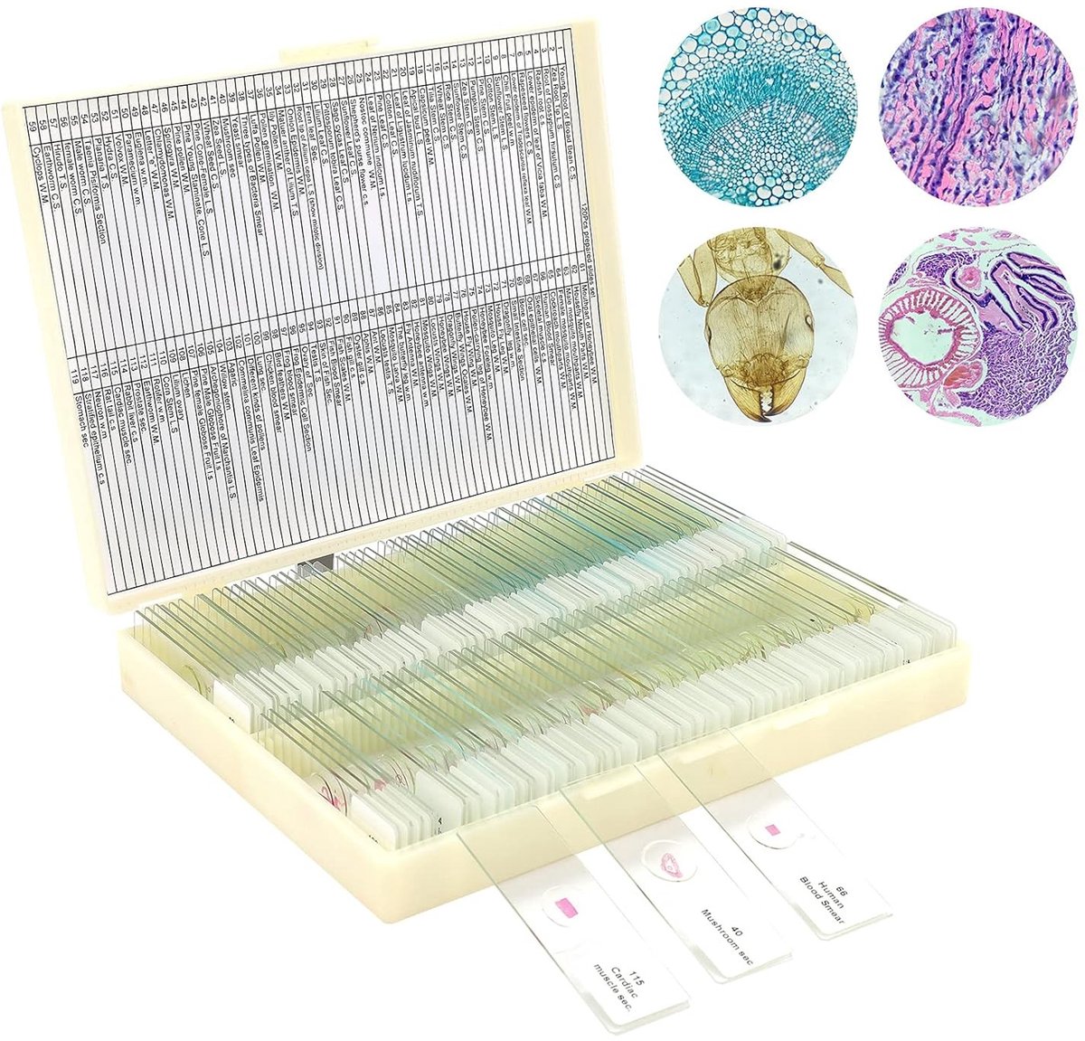 Handmicroscoop - 120 stuks - Geprepareerde Microscoopglaasjes met Diverse Specimens - Voor Biologisch Onderwijs en Hobbygebruik