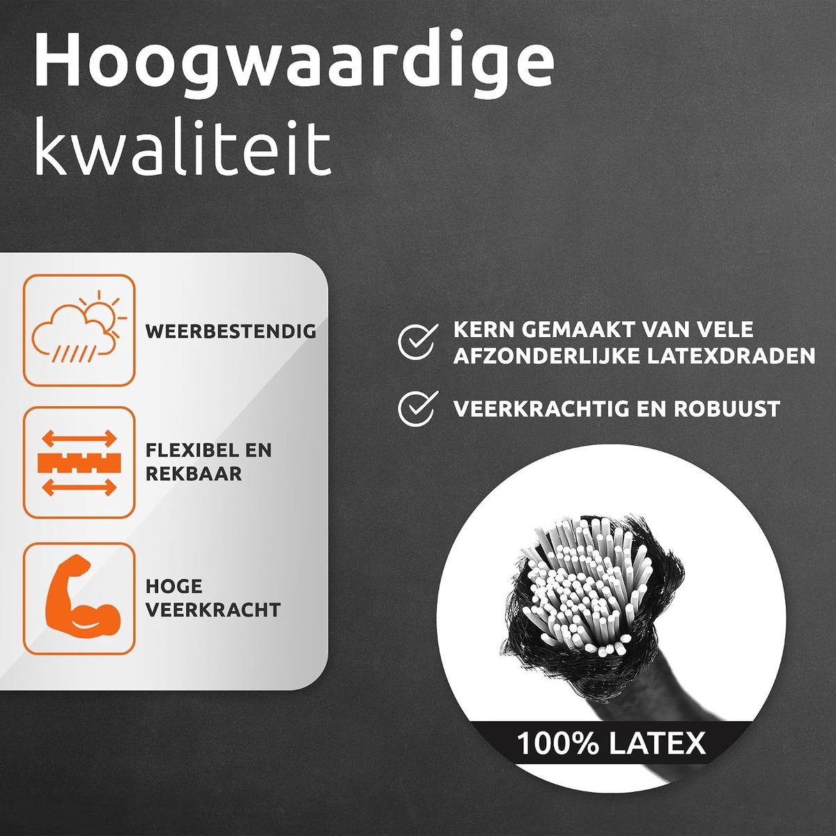 Snelbinders fiets - Zwart - 100 cm - Elastische Spanband met Karabijnhaken - Voor Bagagebeveiliging en Transport