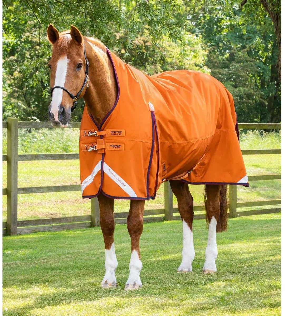 Waterdichte paardendeken Premier Equine Buster Hardy 200 g