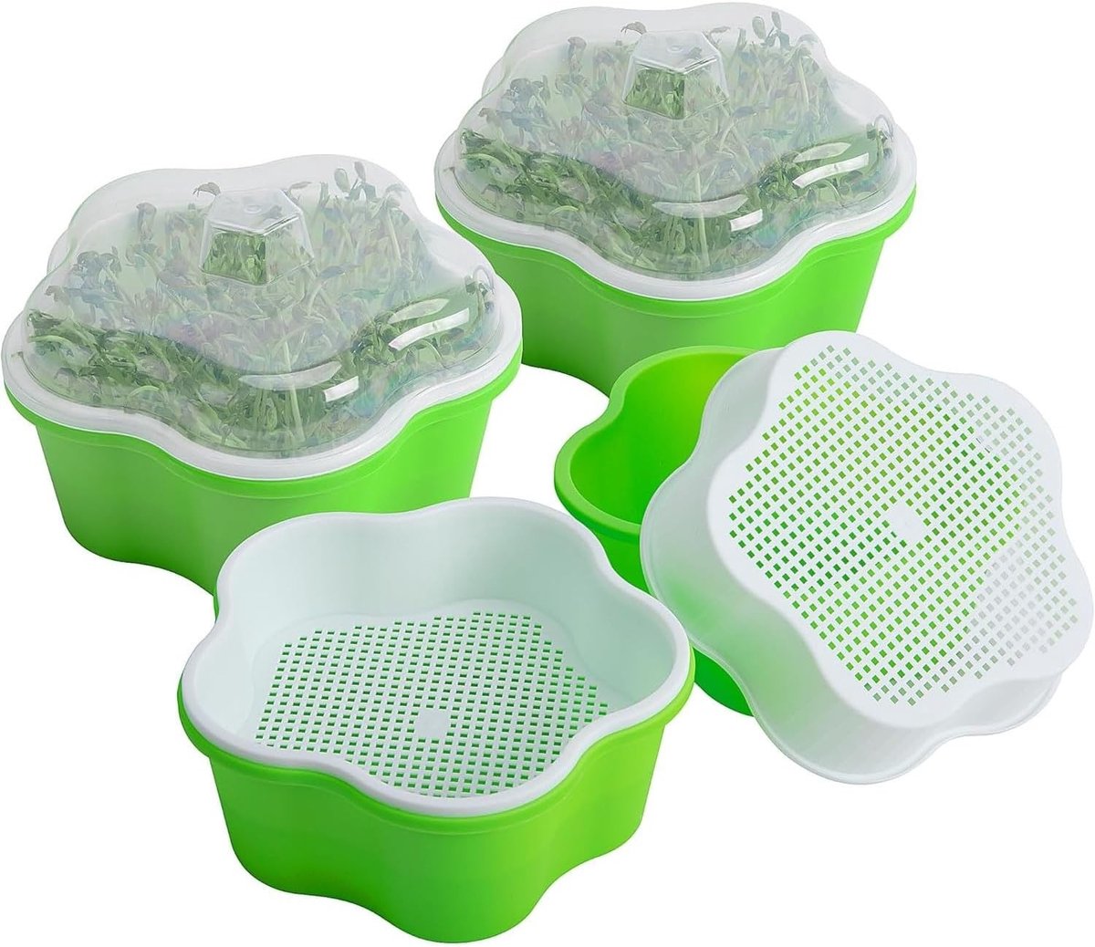Kiempot - Transparant - 16 cm - BPA-vrij Plastic Zaadkiembak met Deksel - Voor Gezonde Hydrocultuur Kieming