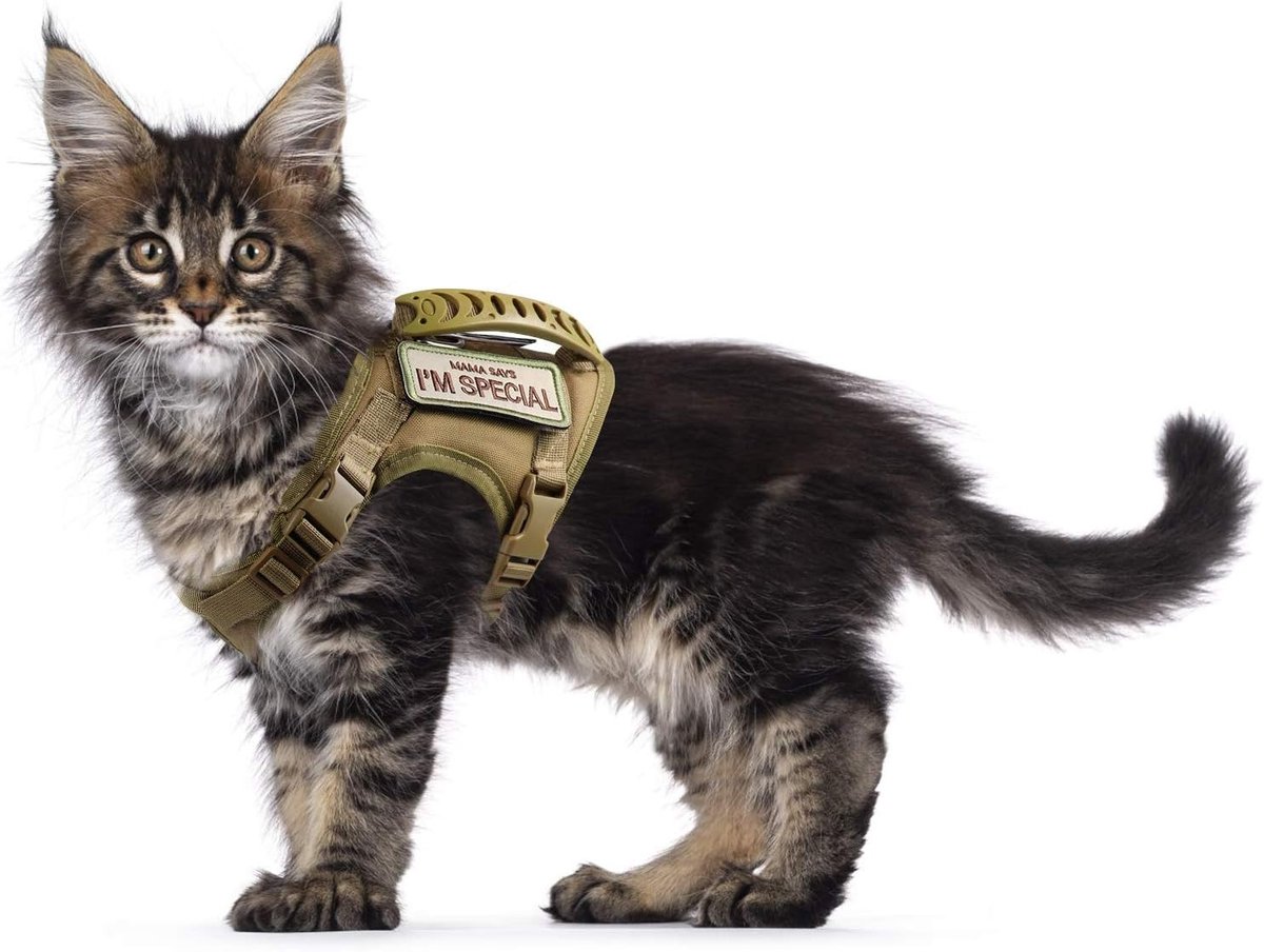 Kattenharnas - Kaki - L - Verstelbaar Nylon Harnas met MOLLE Systeem - Voor Grote Katten en Kleine Honden
