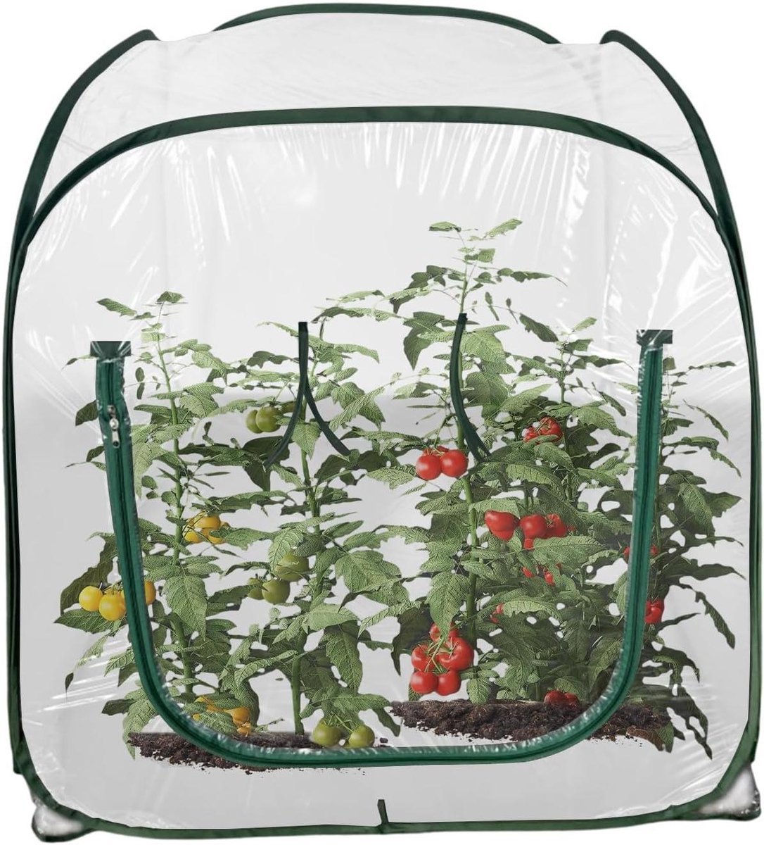 Opvouwbare Mini Kas - Plantentent Kweekkas - Planten Beschermen - Stabiele Groeiomgeving - 98 x 98 x 98 cm - Transparant
