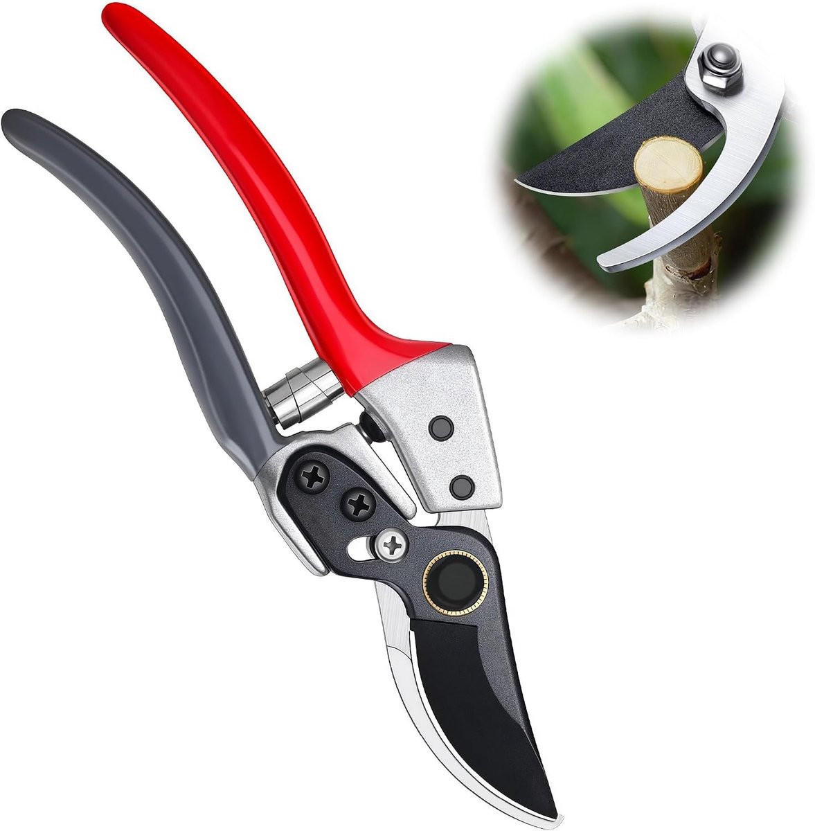 Professionele Bypass Snoeischaar - Roestvrij Staal - Geschikt voor Takken tot 2,5 cm - Ergonomische Handgrepen - Voor Tuinwerk