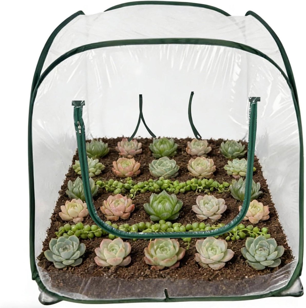 Mini Broeikas - Plantentent PVC - Planten Beschermen - Opvouwbaar Ontwerp - 98 x 98 x 98 cm - Transparant