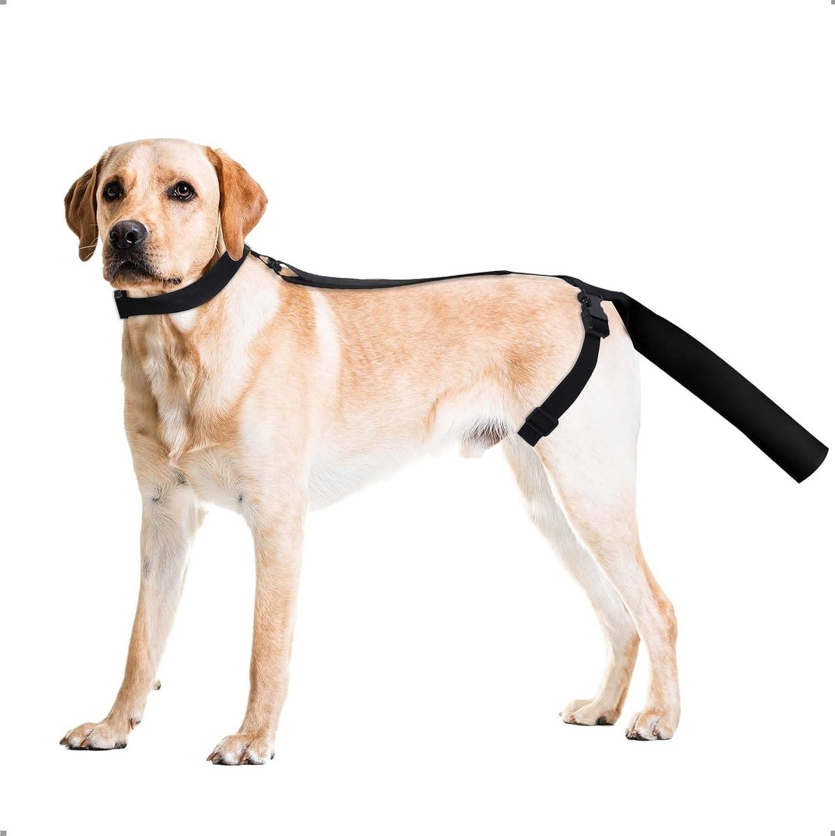 Hondentail Protector, Beschermende Bandage voor Hondenstaarten, Comfortabele Wondgenezing en Blessureherstel, M