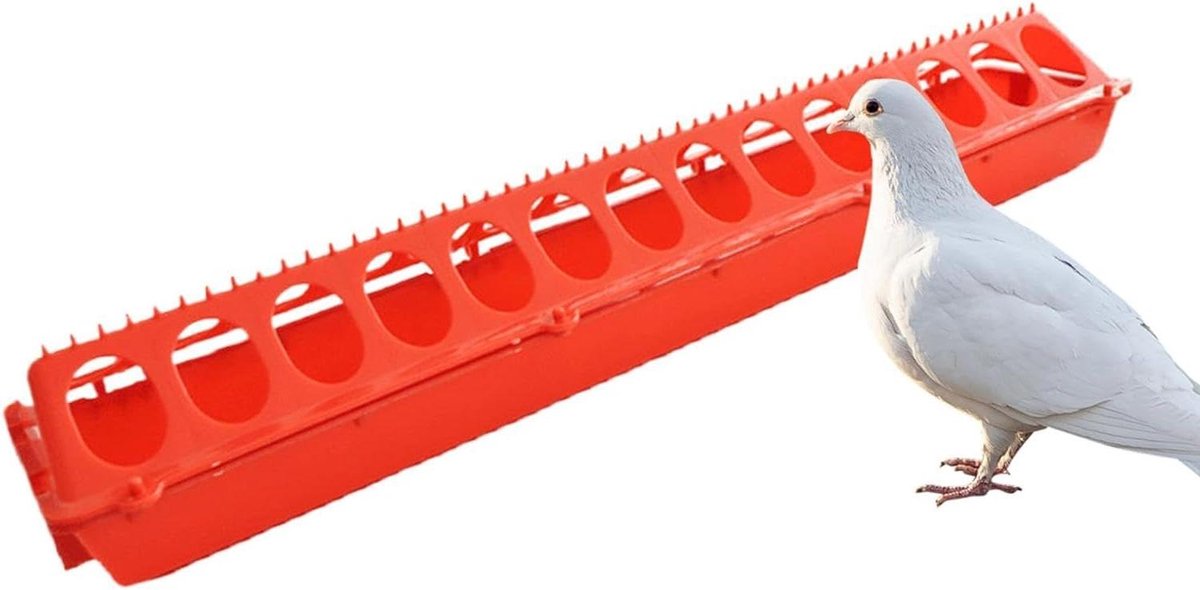 Voerbak en Drinkbak - Pluimvee Feeder - Kuikens Voeren - Morsbestendig Ontwerp - 50x10x10 cm - Rood