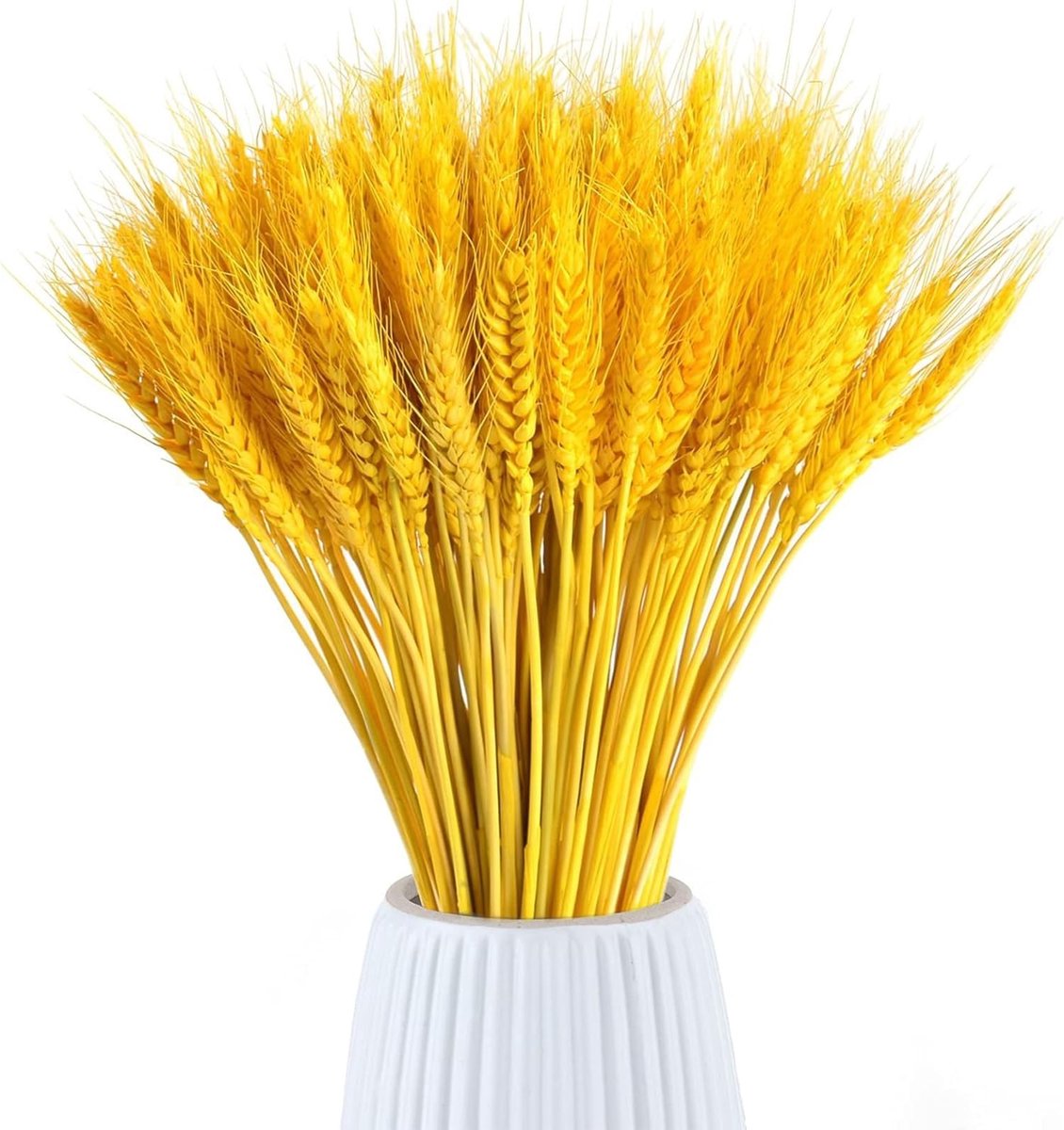 Omgoods - 100 Stuks Gedroogde Tarwe Bloemen voor Decoratie
