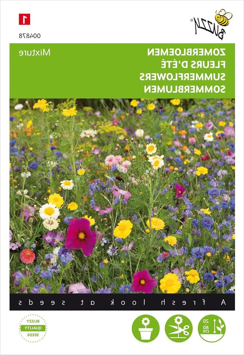 Zomerbloemenmix - Bloemenzaad mengsel - Bloementuin Aanleggen - Grootbloemige Variëteiten - 2 Gram - Meerkleurig