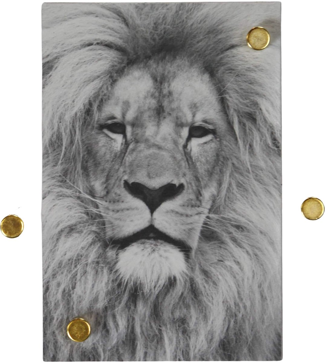 Magneet Neodymium Goud - 4 Stuks - Kamer26