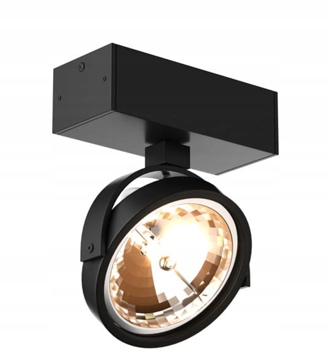 Zwarte Plafondlamp met Verstelbare Spot voor Hal
