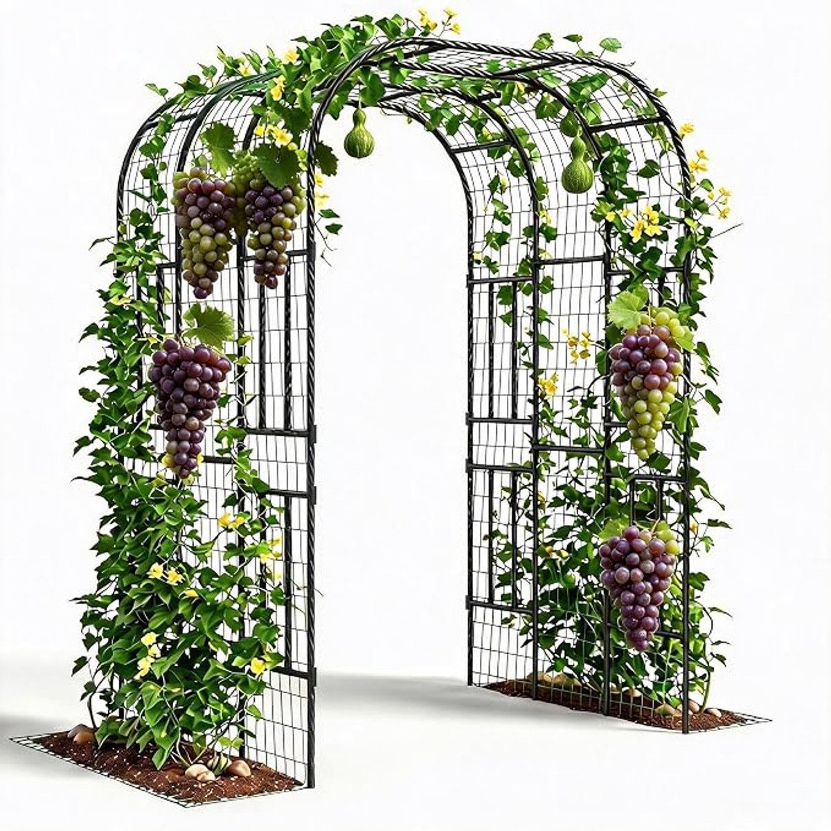 Danky zwarte dubbele U-klimrek PE-gecoat metaal - 220cm - voet voor verhoogde plantbedden