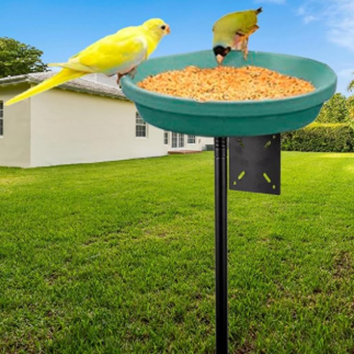 Vogelvoederpaal Set - Voederstandaard Buiten - Vogels Voeren - In Hoogte Verstelbaar - 165 cm Hoog - Zwart
